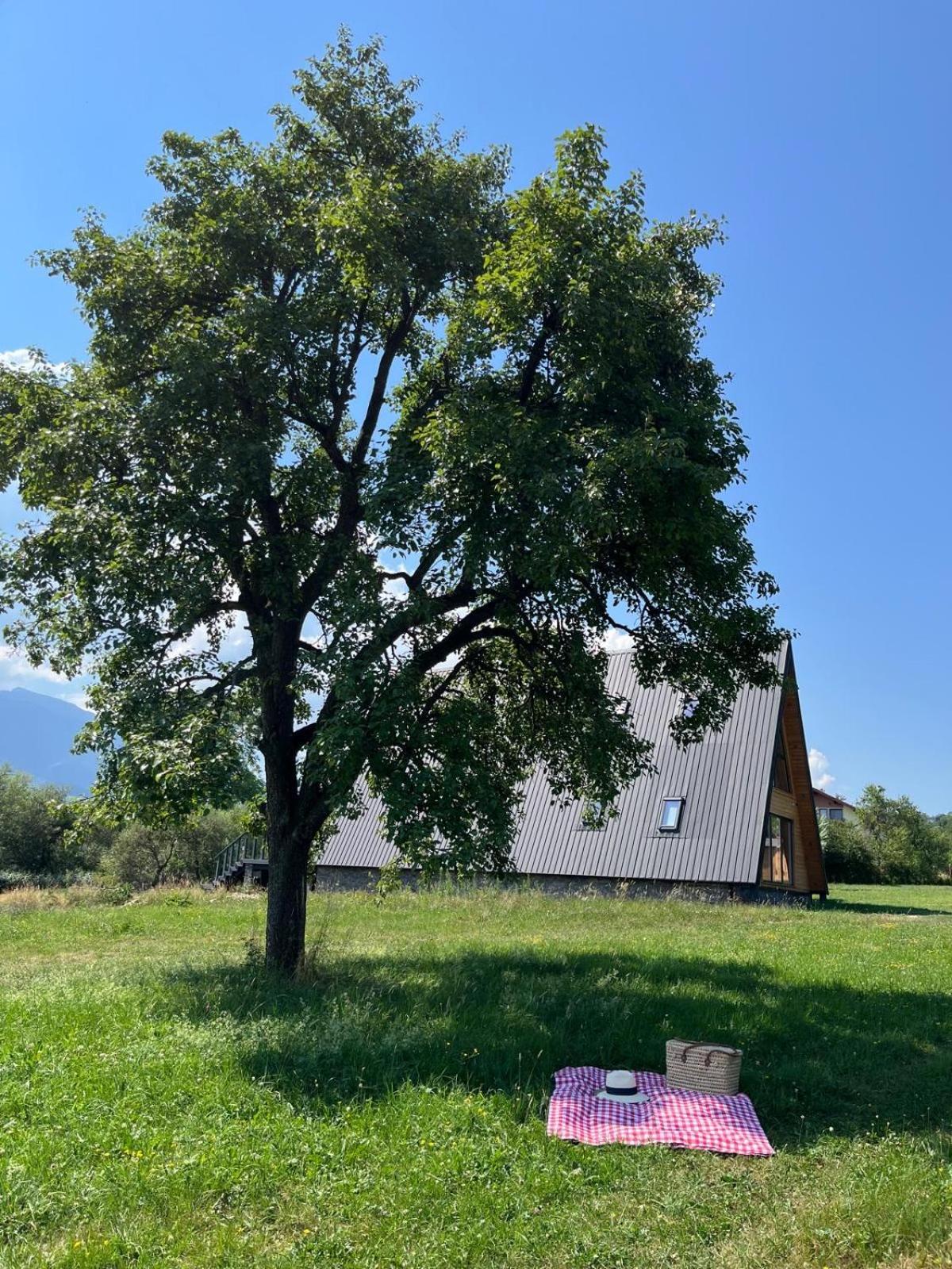 Vino Chalets Bran Sohodol  Εξωτερικό φωτογραφία